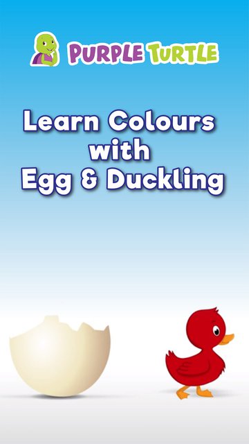 Purple Turtle Learn Colours With Egg & Duckling