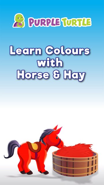 Purple Turtle Learn Colours With Horse & Hay